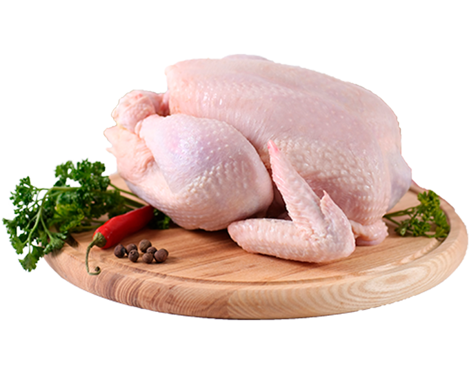 Мясо курицы